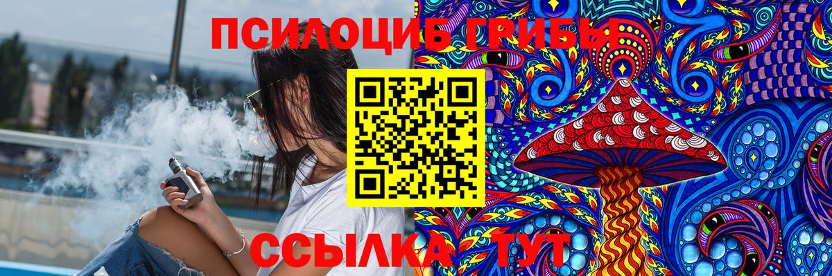 Черкесск  Псилоцибиновые грибы Cubensis  Вход с VPN 