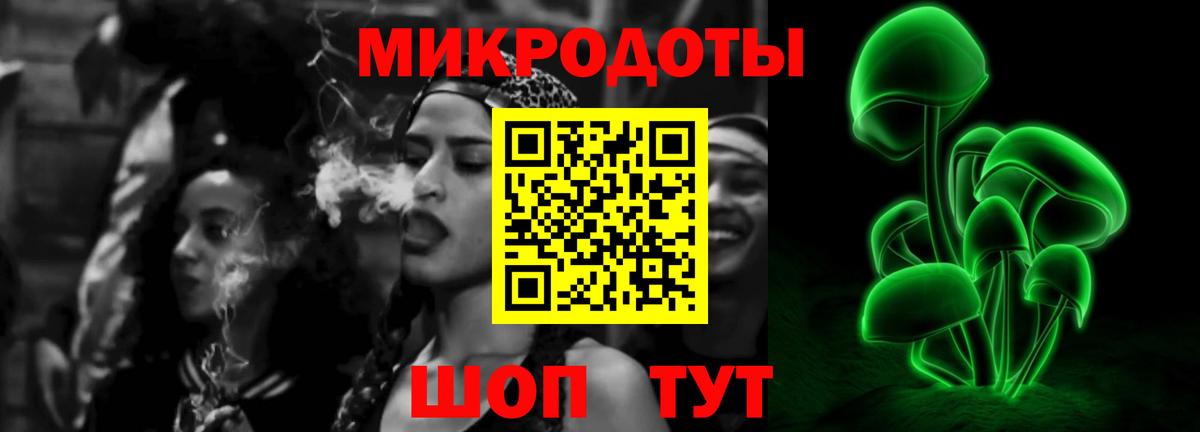 Галлюциногенные грибы Psilocybe Черкесск